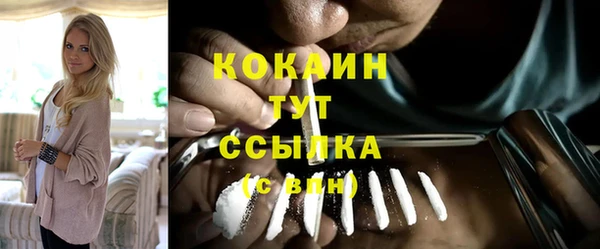 МДПВ Липки