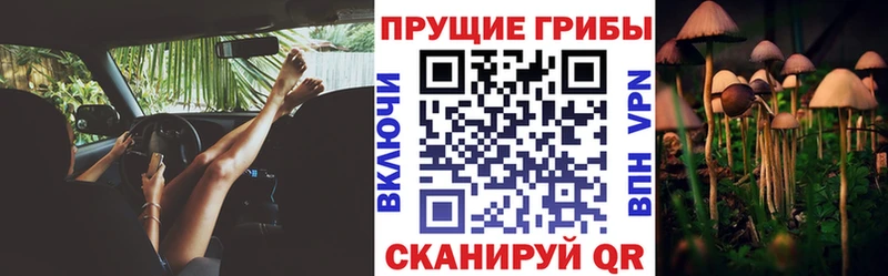 мега tor  Якутск  Галлюциногенные грибы GOLDEN TEACHER 