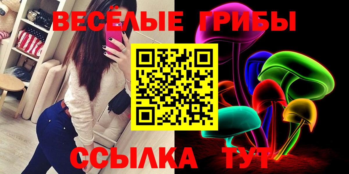 Якутск  Галлюциногенные грибы Psilocybe  Вход с VPN 
